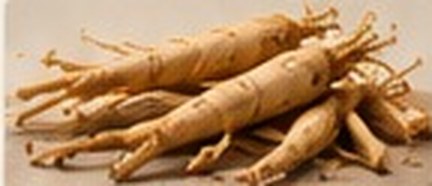 Ginseng
